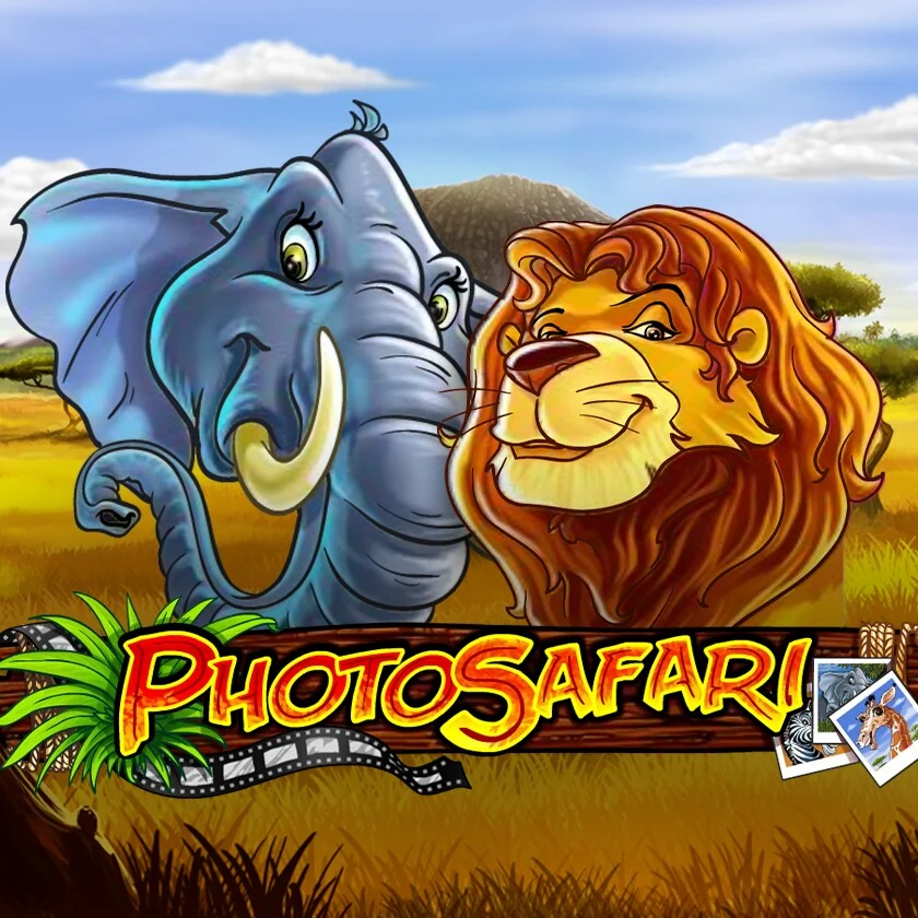 Photo Safari
